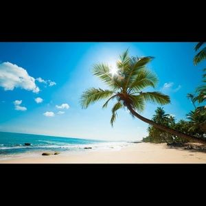 Meet your Posher, You